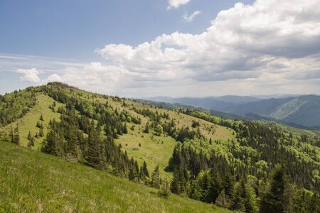 narrow path in green summer mountains with white clouds on blue sky landscapeの写真素材