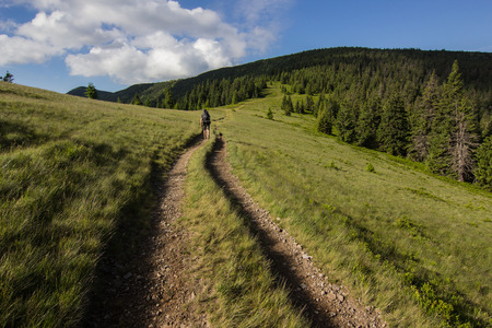 path on summer mountains rangeの写真素材