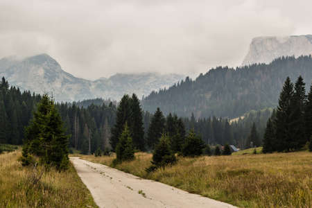misty landscape in mountains of Dinaric Alps in Durmitor National Park in rainy dayの写真素材