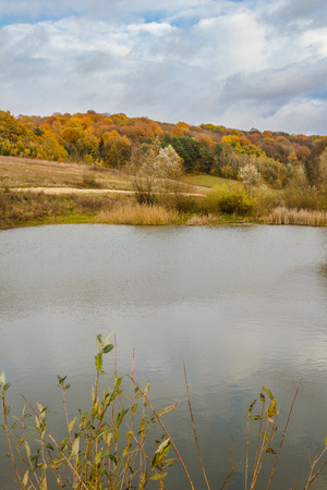 Landscape of colorful trees in autumn forest near lakeの写真素材
