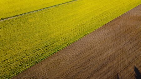 Aerial view on yellow rapeseed fields and black cultivated soil, view from above, beautiful nature...