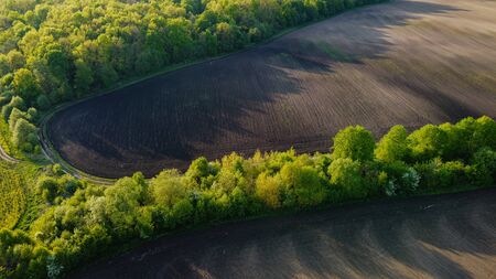 Black agricultural field and green trees aerial viewの写真素材