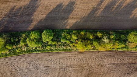 Black agricultural field and green trees aerial viewの写真素材