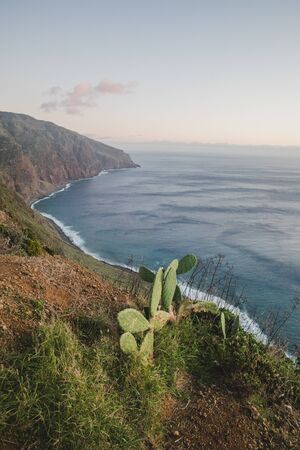 Beautiful scenic sunset view on cliffs coast of Atlantic Ocean with blue breaking waves in Madeira islandの写真素材