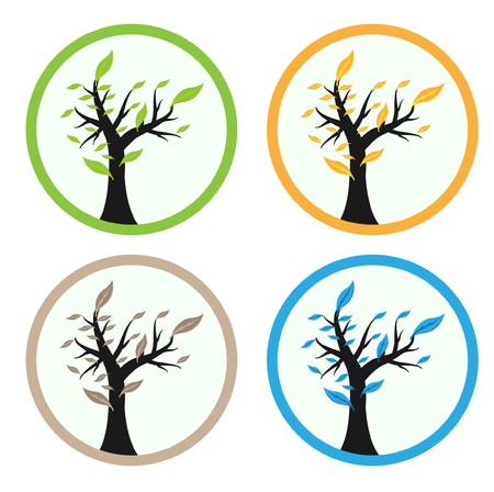 4 season tree のイラスト素材