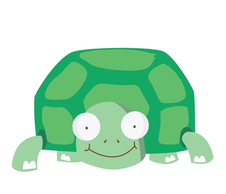 funny turtleのイラスト素材