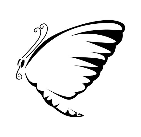 Butterfly Vector Illustrationのイラスト素材