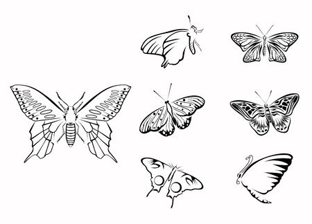Butterfly Set Collectionのイラスト素材