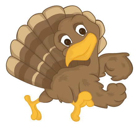 Turkey Birdのイラスト素材