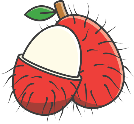 Rambutanのイラスト素材