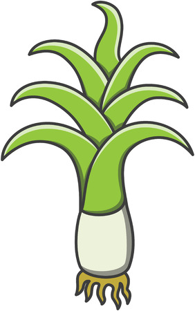 Leek doodle illustrationのイラスト素材