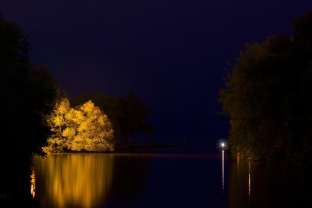 Tree reflection on a lakeの写真素材