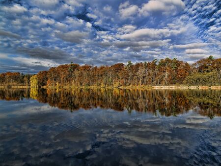 forest reflection on shorelineの写真素材