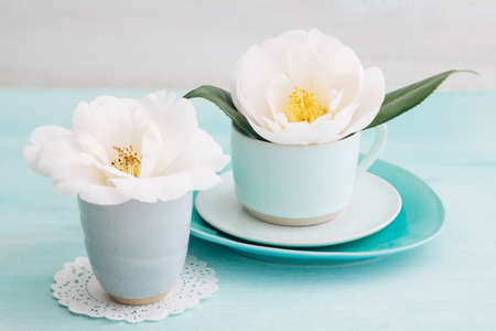 Camellia flower blossoms in turquoise cupsの写真素材