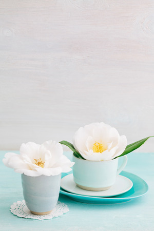 Camellia flower blossoms in turquoise cupsの写真素材