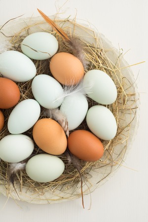 Fresh light green eggs from Easter egger chicken and brown eggs in a nest made of straw on a plateの写真素材