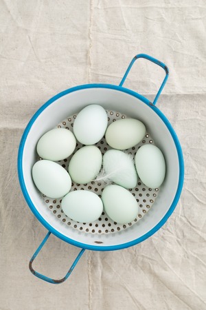 Fresh light green eggs from Easter egger chicken in a kitchen strainerの写真素材