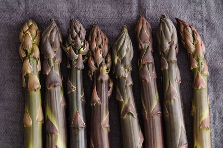 Fresh purple asparagus on dark linen in dark moody lightの写真素材