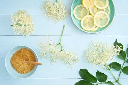 Elderflowers, sugar and lemon slices for making elderflower syrupの写真素材