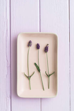Three lavender flowers on a pink plateの写真素材