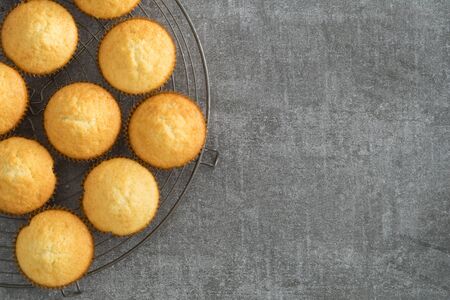 Homemade vanilla cupcakes on a vintage cooling rackの写真素材