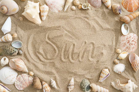 Collection of mussels in the sand with the word sun in the centerの写真素材