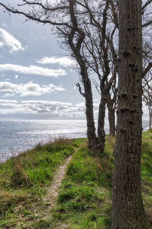 Langeland beach Dovnsklint south of Gulstav Mose with trees. The cliffs are a polular spot for birdwatchingの写真素材