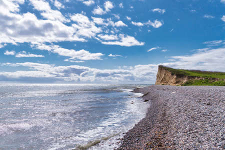 Langeland beach Dovnsklint south of Gulstav Mose with trees. The cliffs are a polular spot for birdwatchingの写真素材