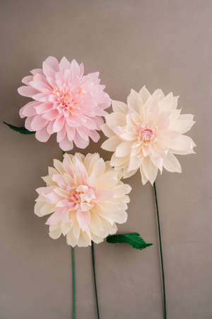 Three crepe paper dahlias on brown wooden backgroundの写真素材