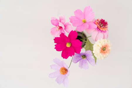 Crepe paper flower bouquet with cosmos, zinnia and echinacea in a vaseの写真素材