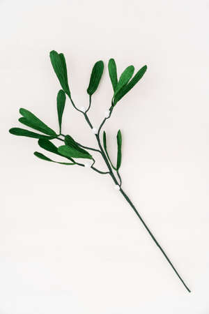 Single crepe paper mistletoe on white wooden backgroundの写真素材
