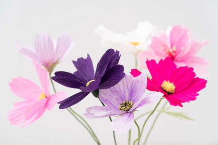 Crepe paper cosmos flower bouquet on whiteの写真素材