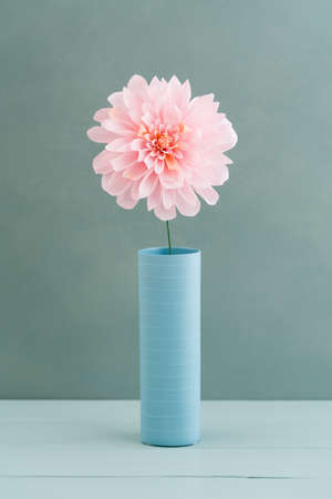 Single pink crepe paper dahlia in a vase on turquoise wooden backgroundの写真素材