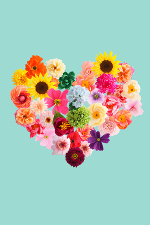 Heart symbol made of crepe paper flowers isolated on turquoise backgroundの写真素材