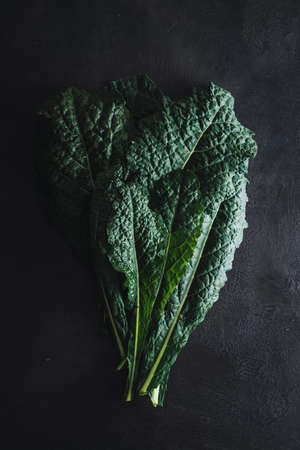 Cavolo nero black curly kale vegetable on blackの写真素材
