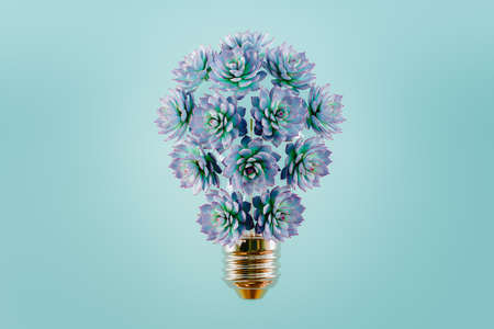 Light bulb with succulents against turquoise backdrop conceptual 3D illustrationの写真素材