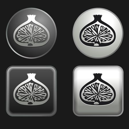 fig icon on round and square buttonsのイラスト素材