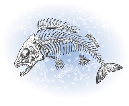 hand drawn fish skeleton sketchのイラスト素材
