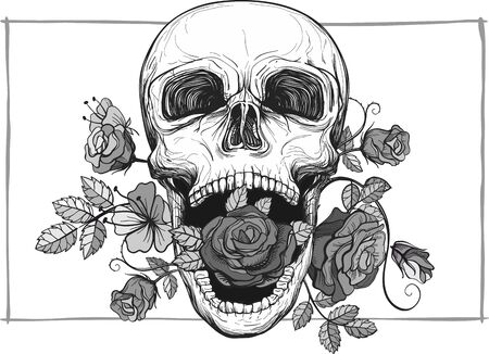 Skull with rose flowers illustration.のイラスト素材