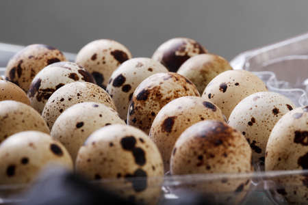 raw quail eggs closeup in plastic packagingの写真素材