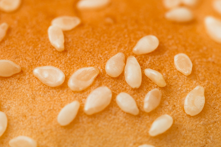 bun with sesame seeds for a hamburger isolated on white background, close-up.