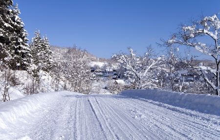 Country road in winter frosty day    