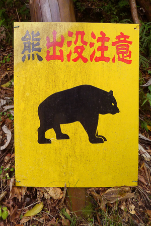 blank arrow wood sign post in the snow mountainの写真素材