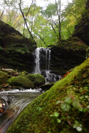 small water fall in autumn