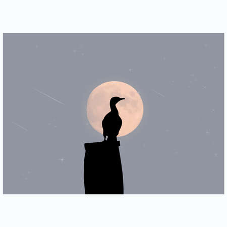 The silhouette of the flamingo on the evening on the star's backgroundのイラスト素材