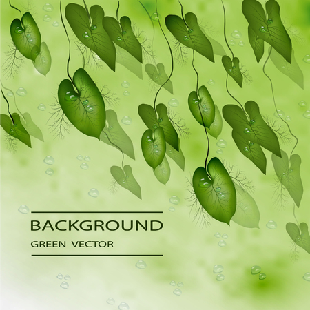 exotic, vector leaves, green leaf background. tropical leaves in the style of realism, summer, nature Wallpapers for designのイラスト素材