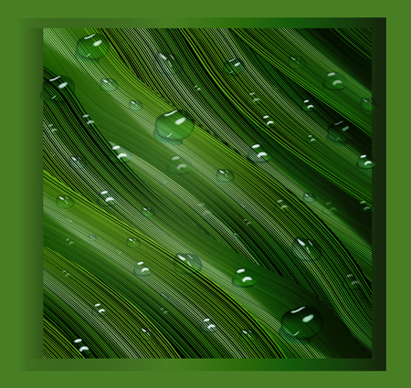 realistic 3D water drops on green, tropical leaves. volumetric, vector leaves with dew in the style of realism. modern text background for posters, advertising, presentations, design. vector graphics.のイラスト素材