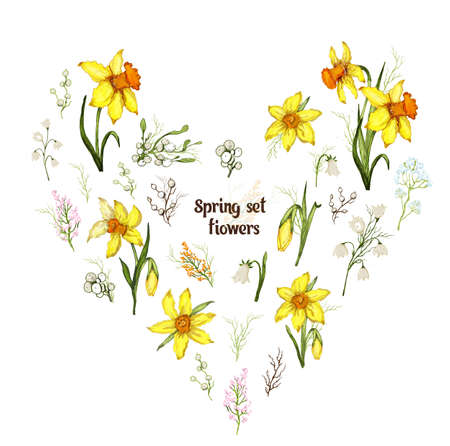 floral spring set. modern composition, hand-drawn doodles. realistic color sets (daffodil, Bluebell, Lily of the valley, grass). bouquets, decor elements, Wallpaper, paper, ideas, cards, invitations.のイラスト素材