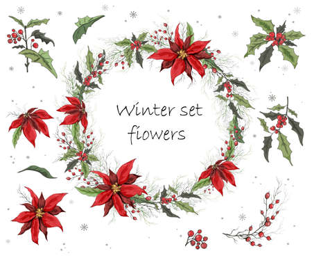 A set of winter flowers (poinsettia, white mistletoe, Holly) isolated on a white background. realistic hand-drawn compositions of bouquets. colorful ornaments, decorations for seasonal cards, posters, advertising. Vintage styleのイラスト素材