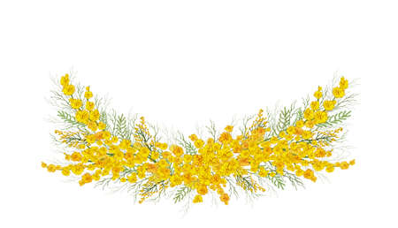 a hand-drawn element of yellow mimosa flowers. realistic bouquet, isolated flowers on a white background. a wreath in the form of a circle. modern decoration, for postcard, invitation, banner, holidays. art vintage style.のイラスト素材